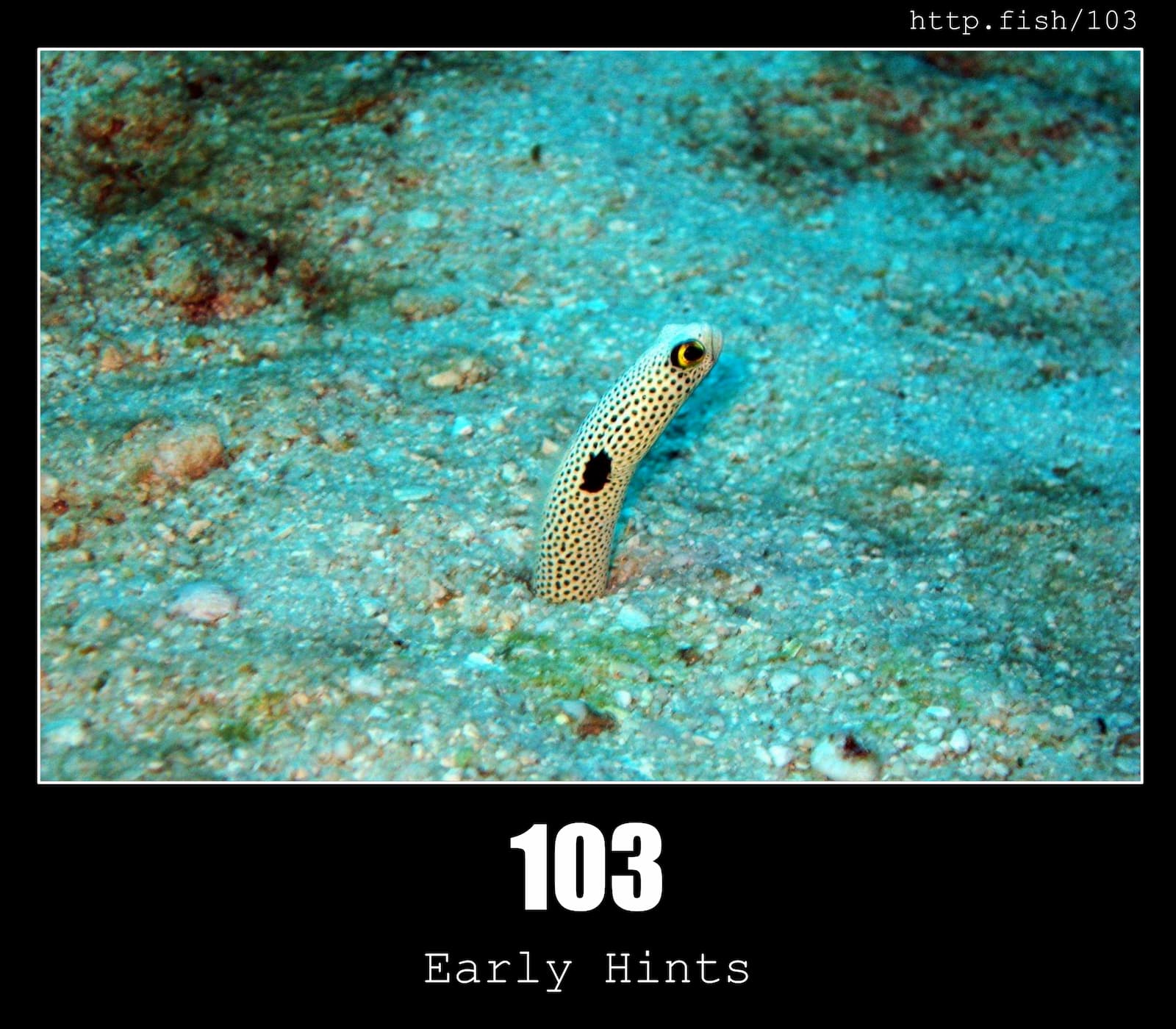 HTTP Status Code 103 Early Hints & Fish