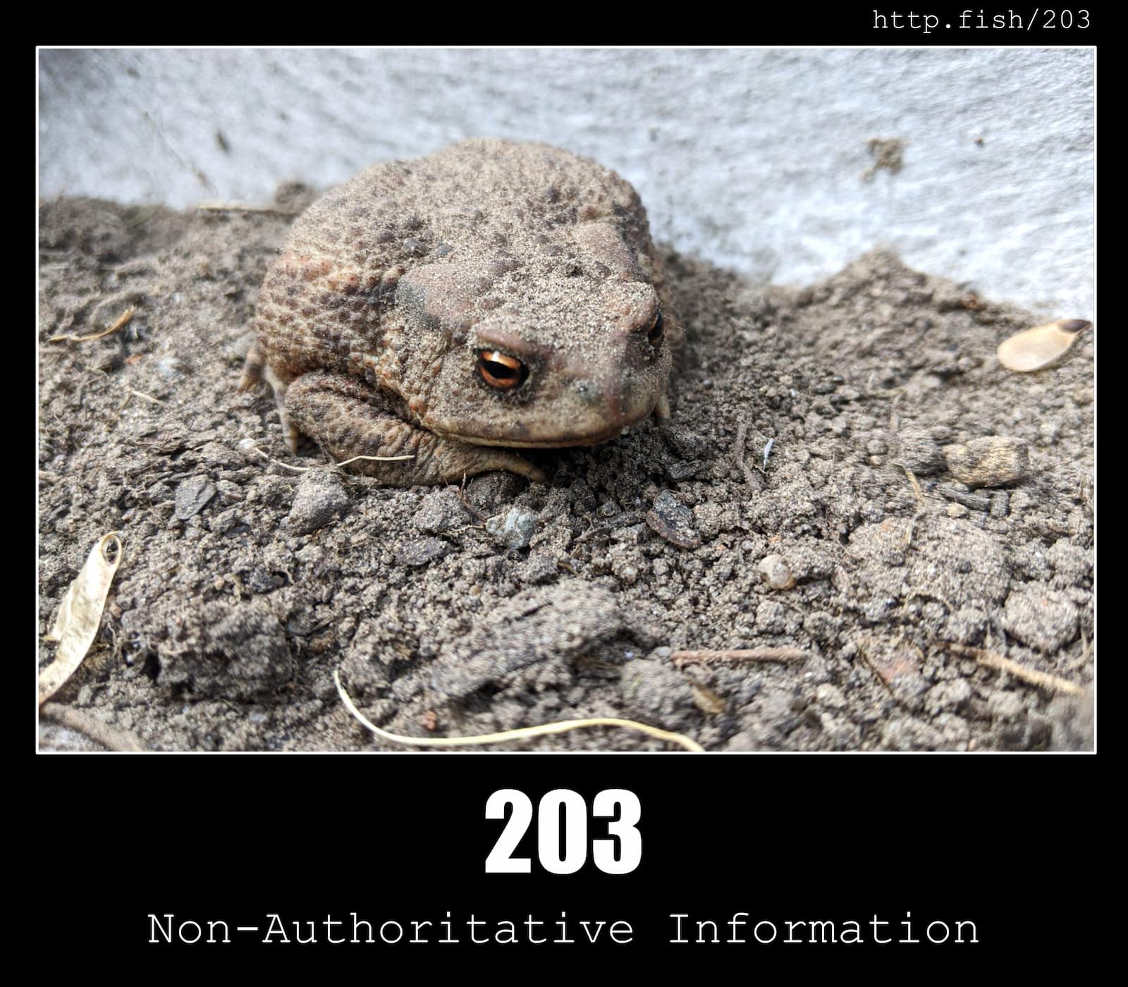 HTTP Status Code 203 Non-Authoritative Information & Fish