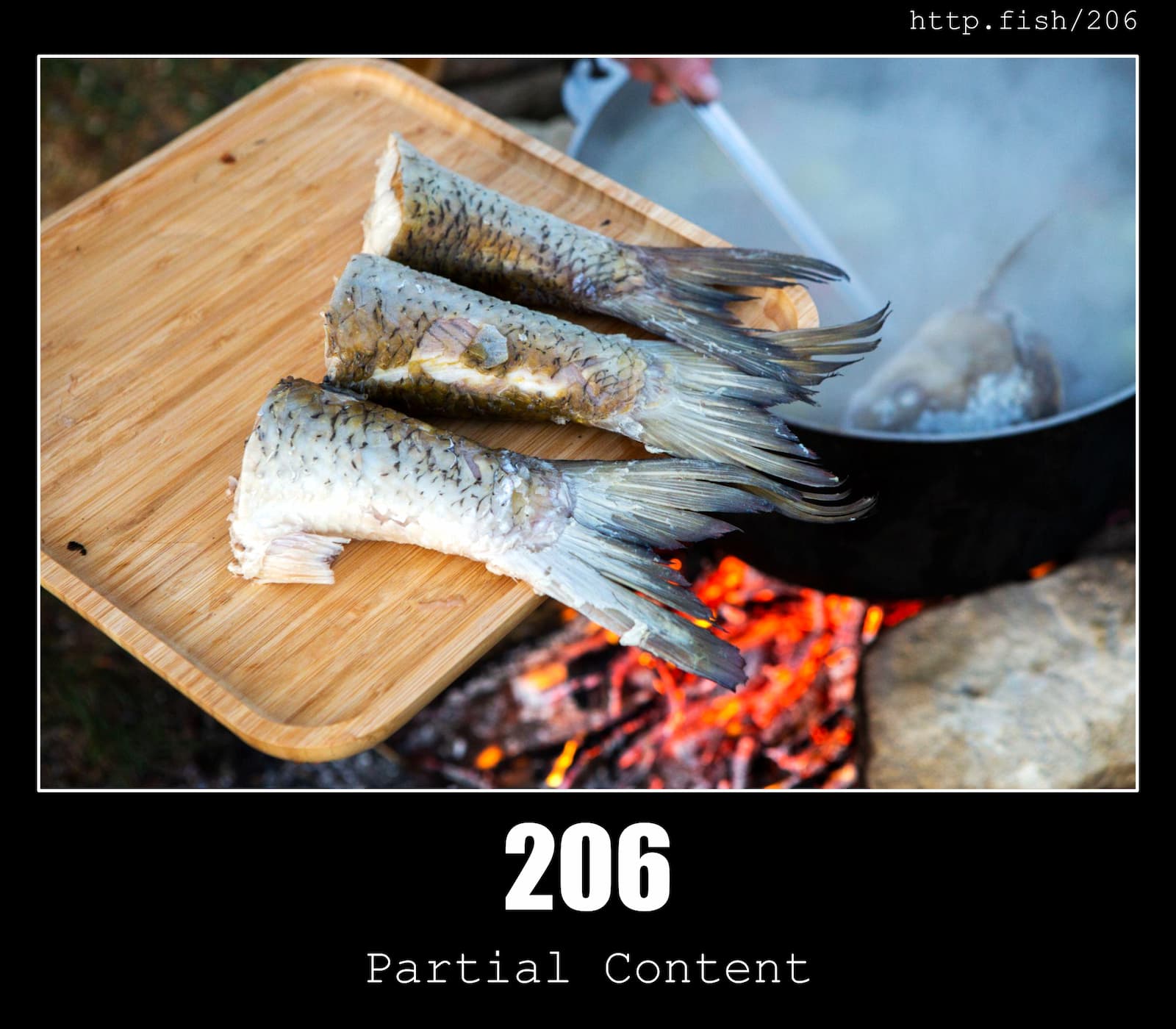 HTTP Status Code 206 Partial Content  & Fish