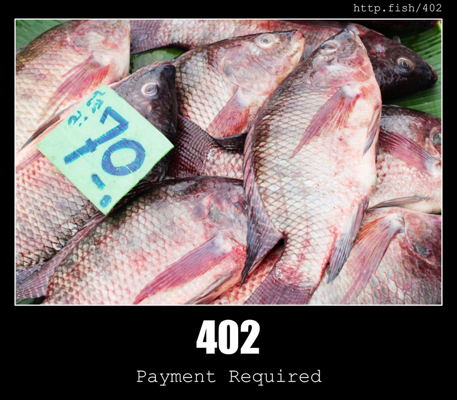 HTTP Status Code 402 Payment Required & Fish