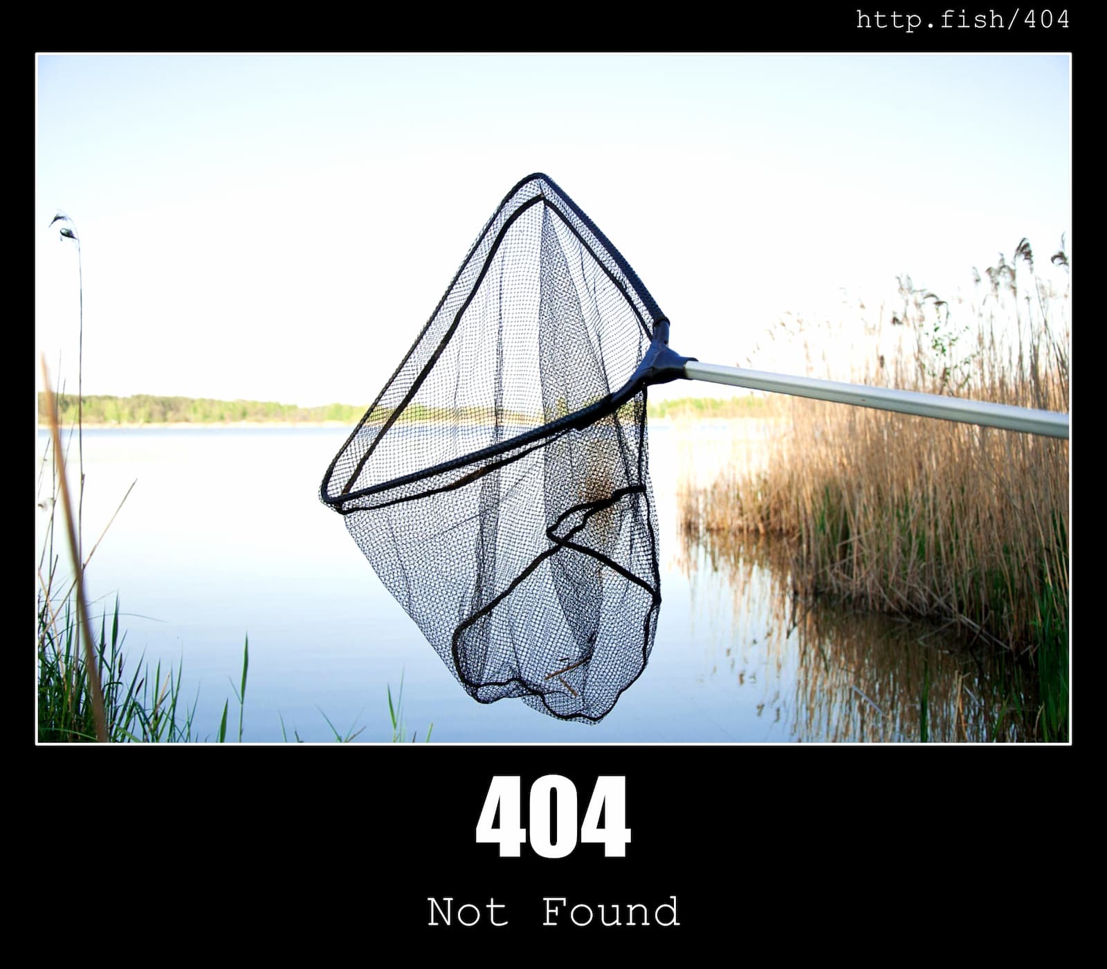 HTTP Status Code 404 Not Found & Fish