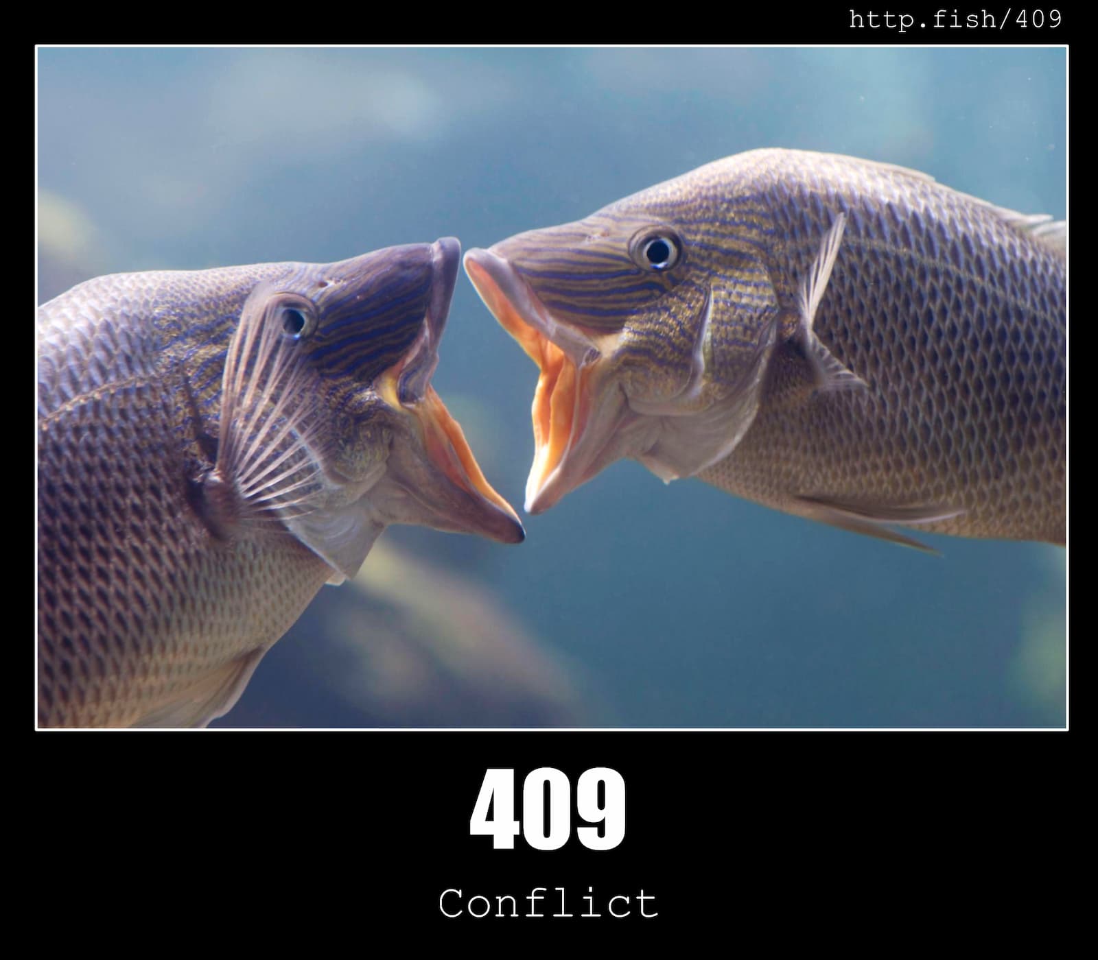 HTTP Status Code 409 Conflict & Fish