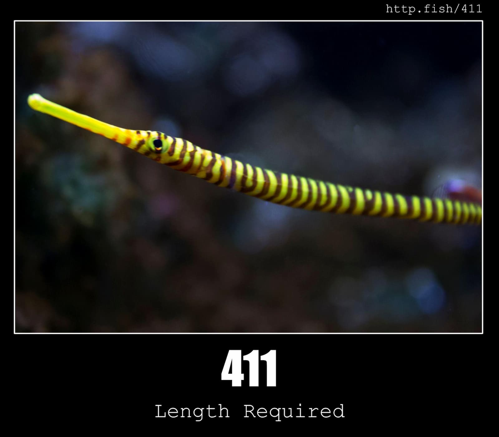 HTTP Status Code 411 Length Required & Fish