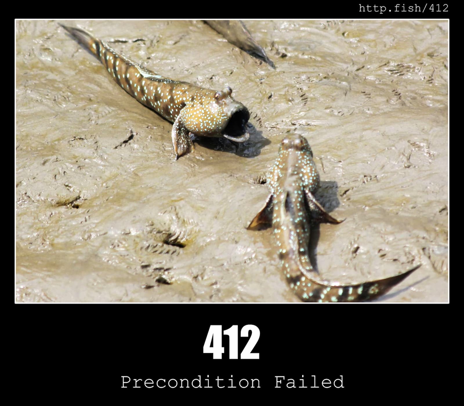 HTTP Status Code 412 Precondition Failed & Fish