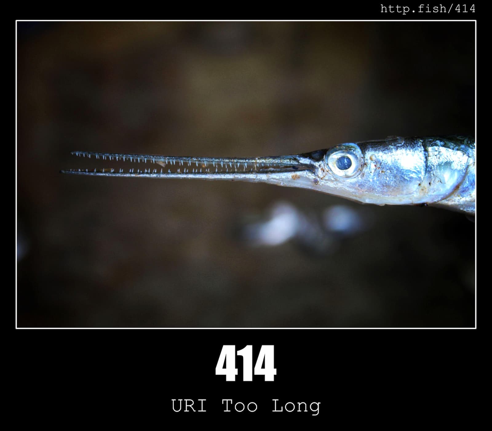 HTTP Status Code 414 URI Too Long & Fish