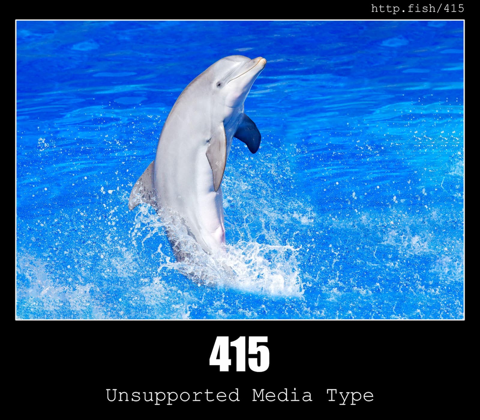 HTTP Status Code 415 Unsupported Media Type & Fish