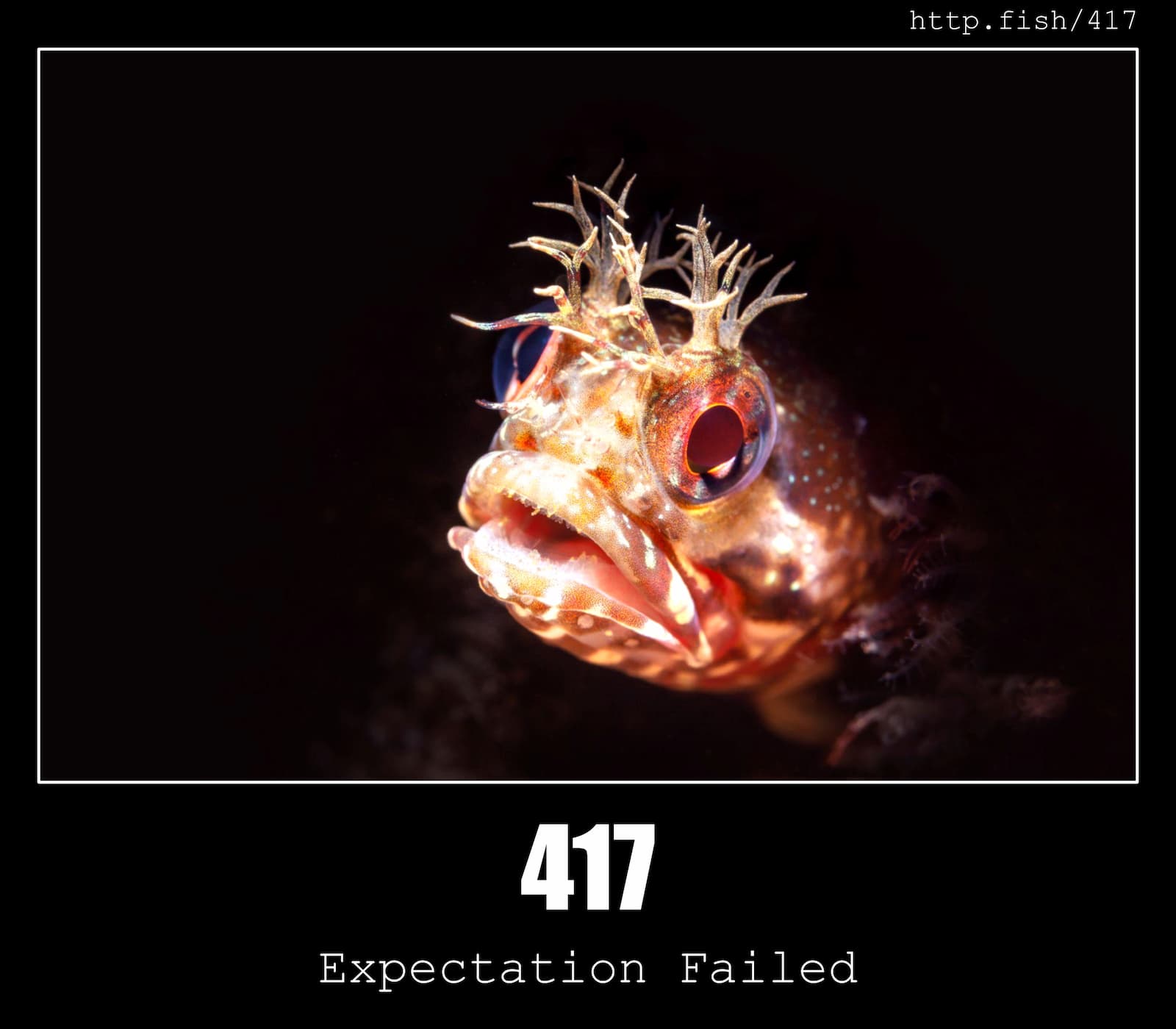 HTTP Status Code 417 Expectation Failed & Fish