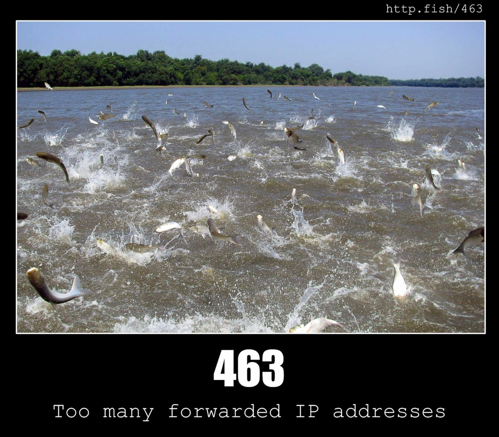 HTTP Status Code 463 Too many forwarded IP addresses & Fish