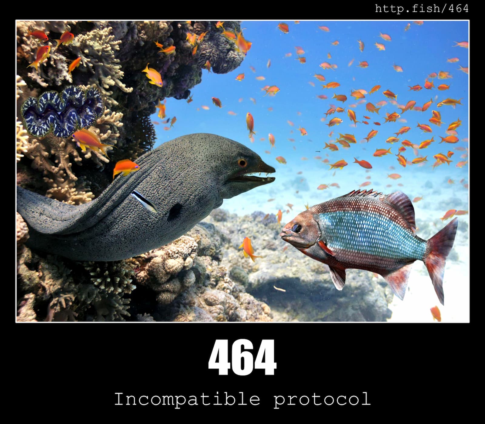 HTTP Status Code 464 Incompatible protocol & Fish