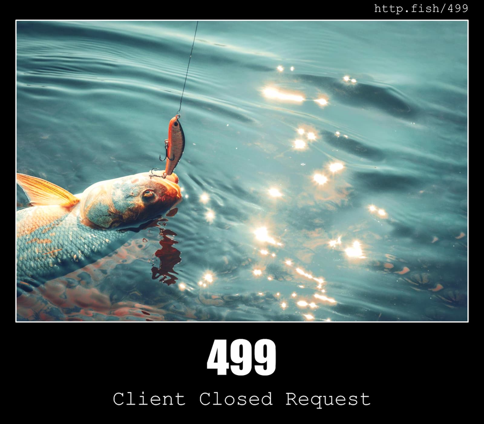 HTTP Status Code 499 Client Closed Request & Fish