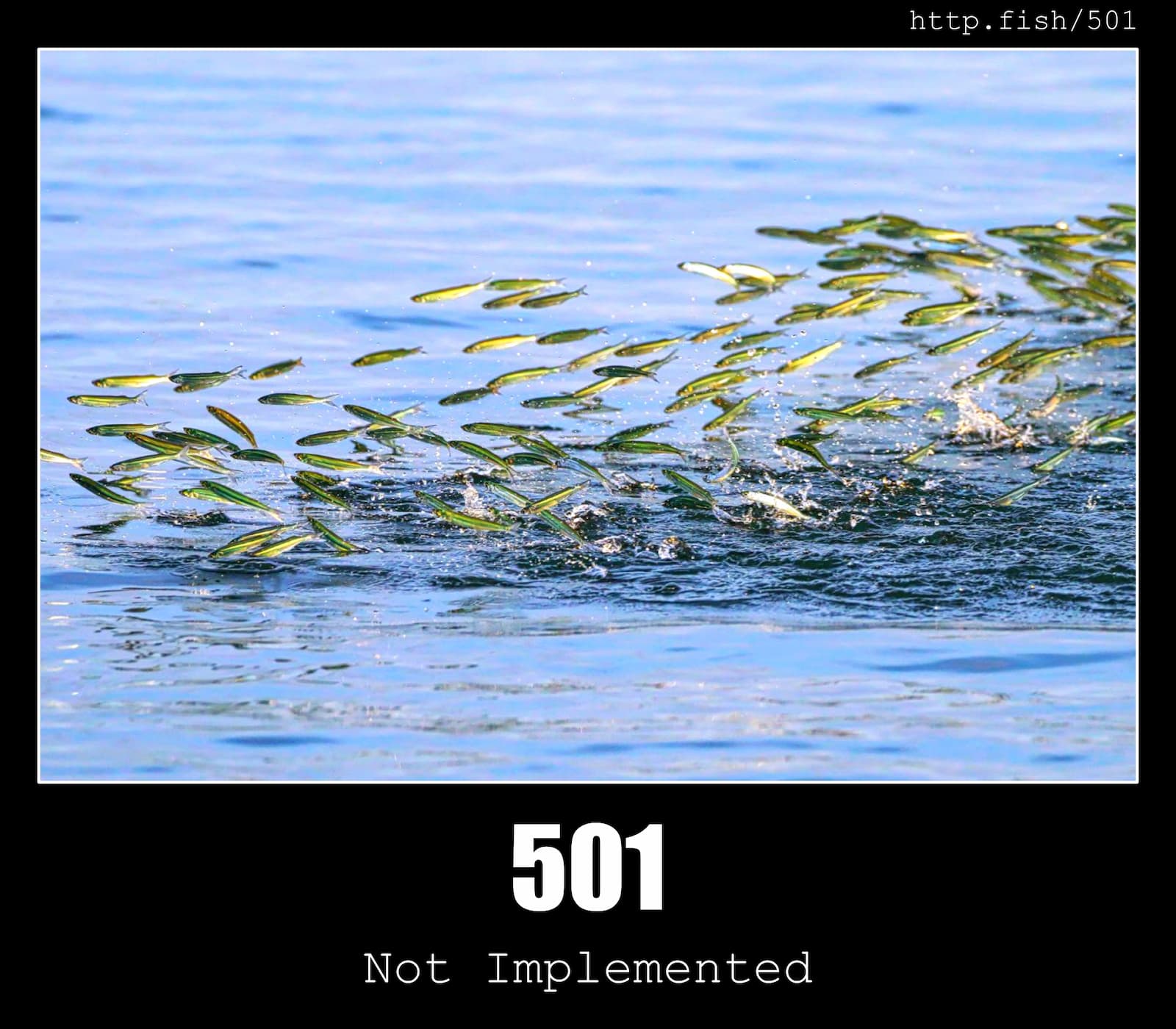 HTTP Status Code 501 Not Implemented & Fish