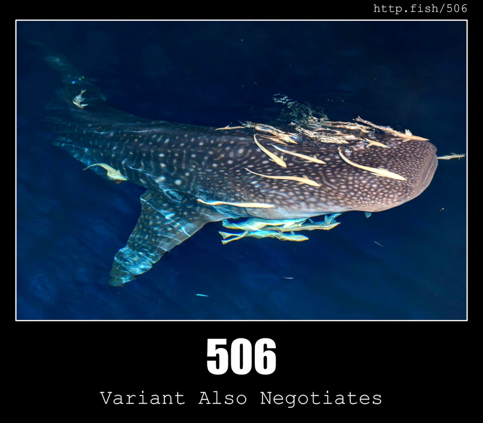 HTTP Status Code 506 Variant Also Negotiates & Fish
