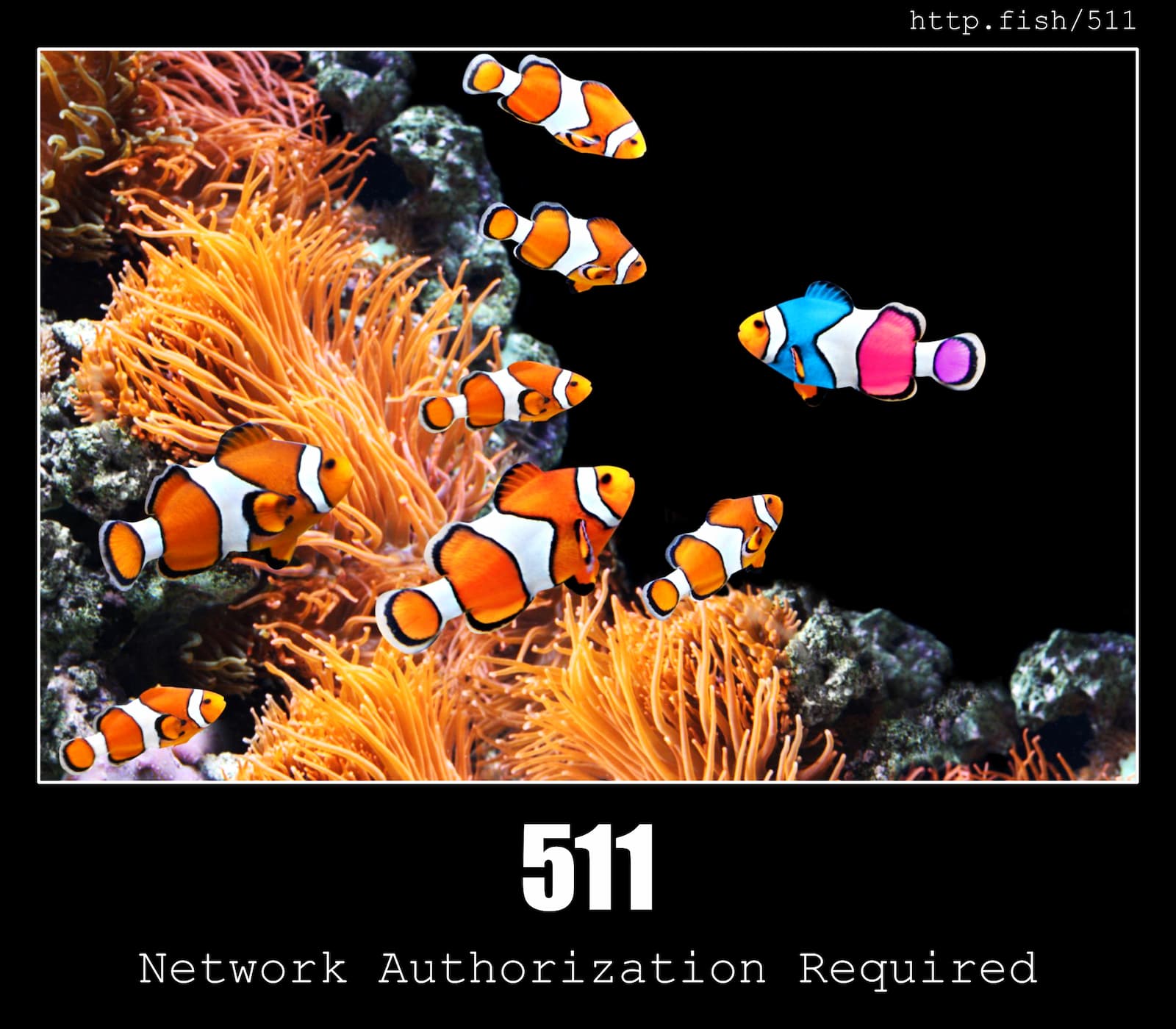 HTTP Status Code 511 Network Authentication Required & Fish