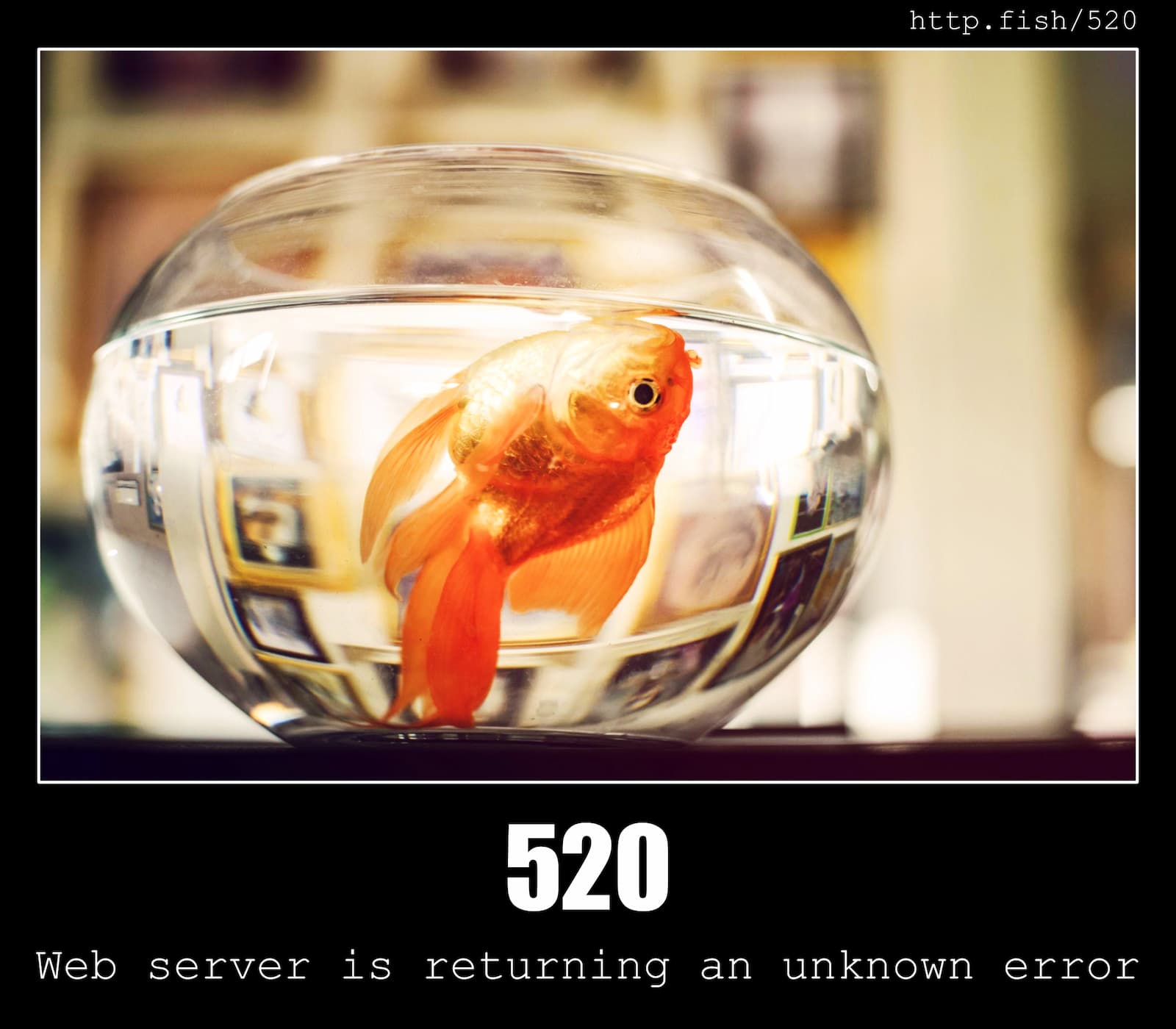 HTTP Status Code 520 Web server is returning an unknown error & Fish