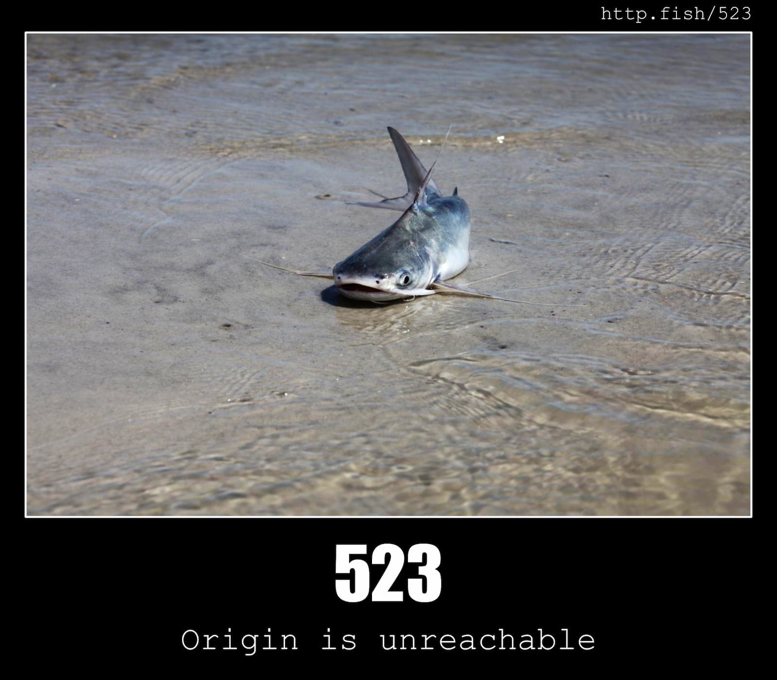 HTTP Status Code 523 Origin is unreachable & Fish
