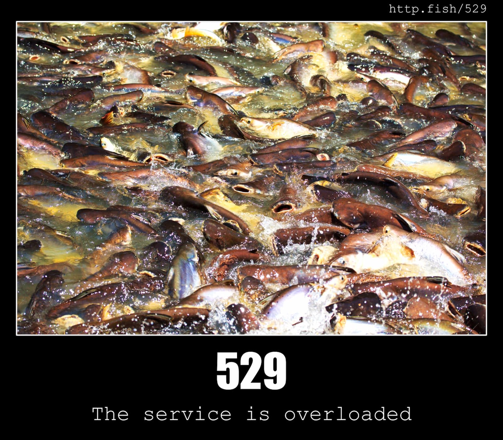 HTTP Status Code 529 The service is overloaded & Fish