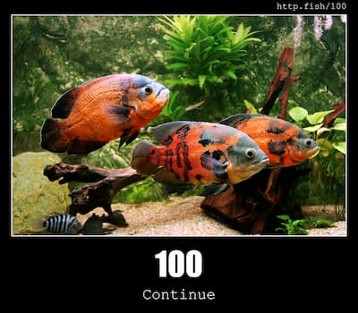 100 Continue & Fish