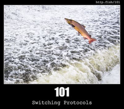 101 Switching Protocols & Fish