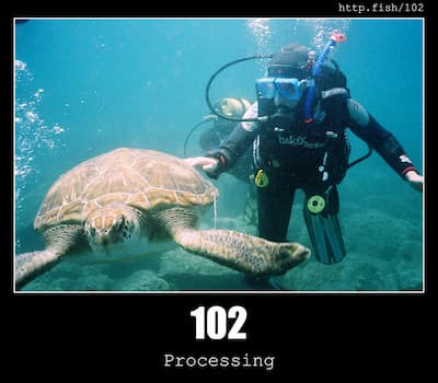 102 Processing & Fish