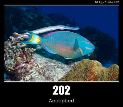 202 Accepted & Fish