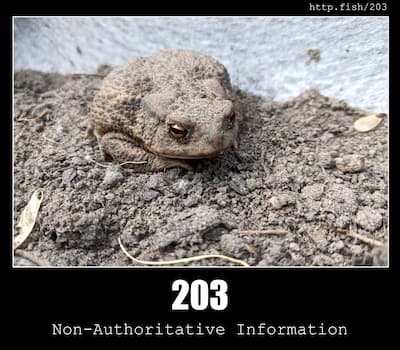203 Non-Authoritative Information & Fish