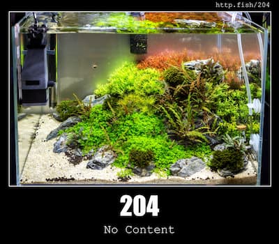 204 No Content & Fish