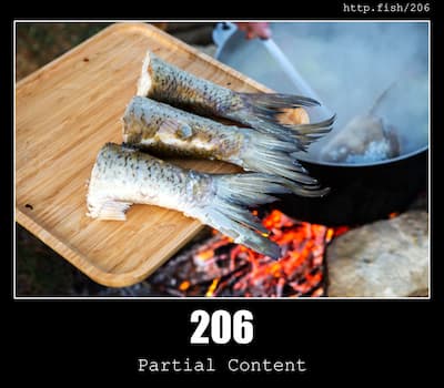 206 Partial Content  & Fish