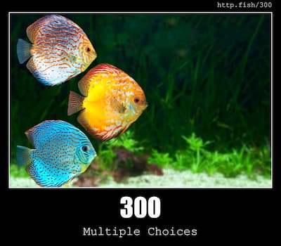 300 Multiple Choices & Fish