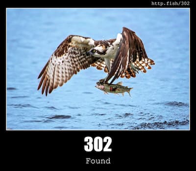 302 Found & Fish