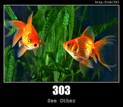 303 See Other & Fish