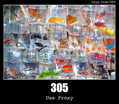 305 Use Proxy & Fish