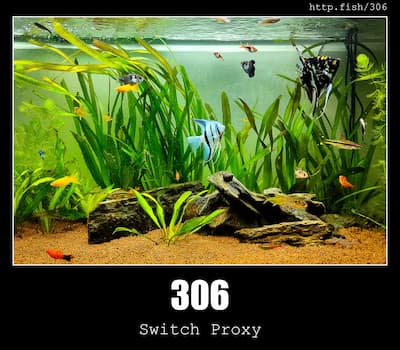 306 Switch Proxy & Fish
