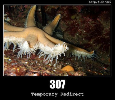 307 Temporary Redirect & Fish