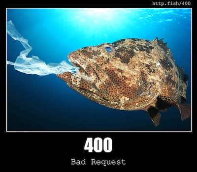 400 Bad Request & Fish