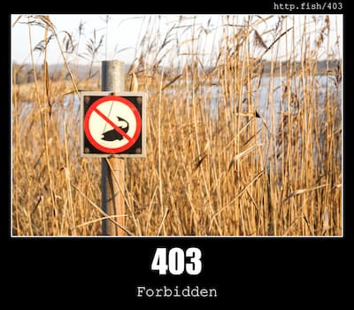 403 Forbidden & Fish