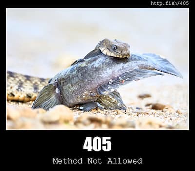 405 Method Not Allowed & Fish