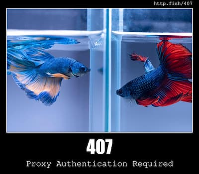 407 Proxy Authentication Required & Fish