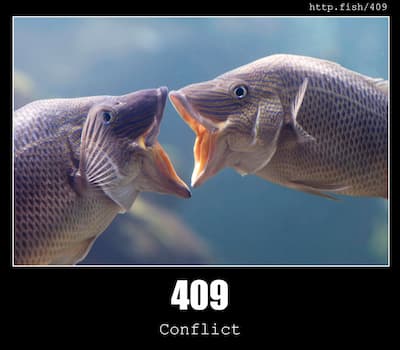 409 Conflict & Fish