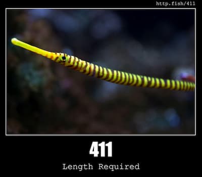 411 Length Required & Fish