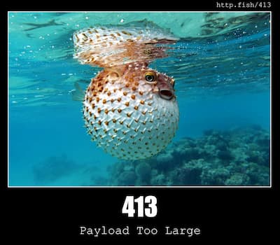 413 Payload Too Large & Fish