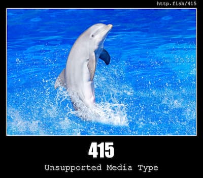 415 Unsupported Media Type & Fish