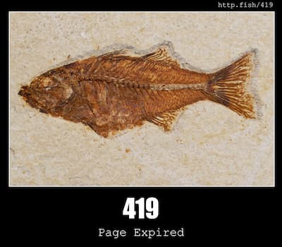 419 Page Expired & Fish
