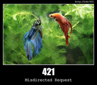 421 Misdirected Request & Fish