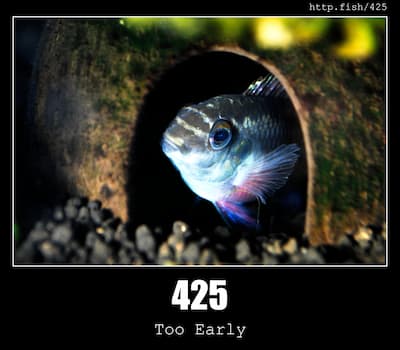 425 Too Early & Fish