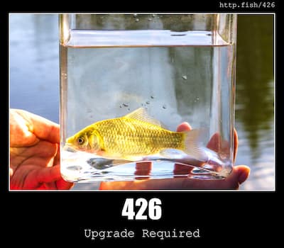 426 Upgrade Required & Fish