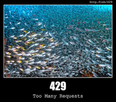 429 Too Many Requests & Fish