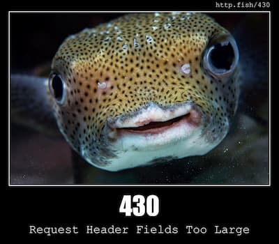 430 Request Header Fields Too Large & Fish