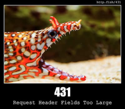 431 Request Header Fields Too Large & Fish