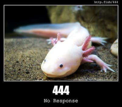 444 No Response & Fish
