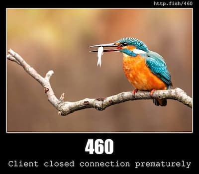 460 Client closed connection prematurely & Fish